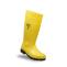 504 YELLOW